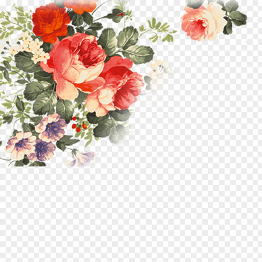 Rose Shanghai Template Soap Software PNG
