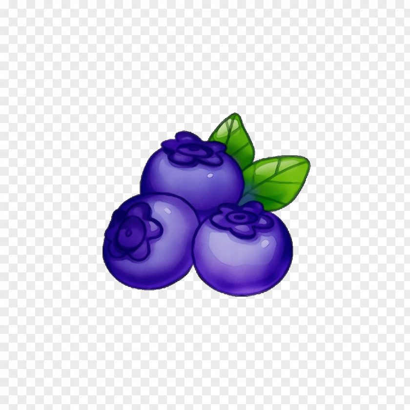 Food Vitis Violet Purple Fruit Berry Grape PNG