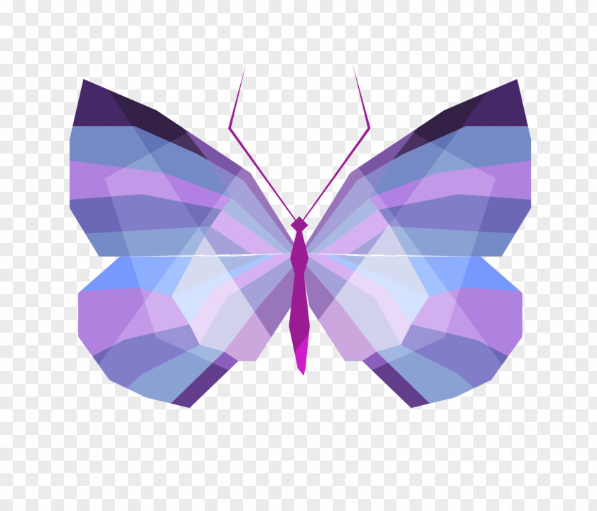 Lilac Butterfly Geometry Vector Graphics Drawing Image Color PNG