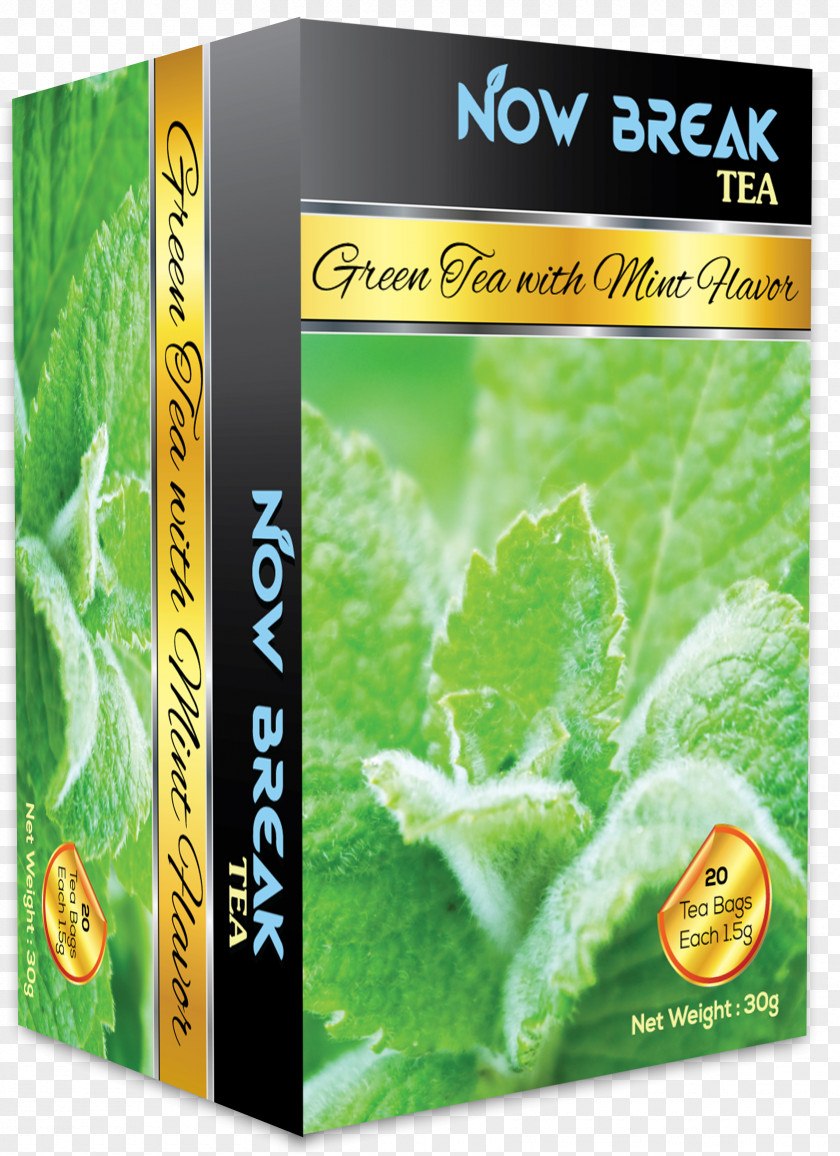 Mint Green Tea Black Drink Herb PNG