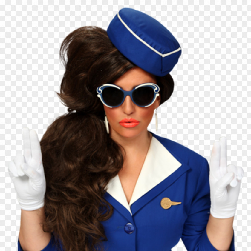 Pam Ann Comedian Air Travel Flight Attendant Alter Ego PNG