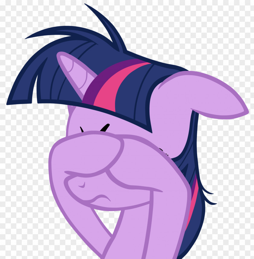 Twilight Sparkle Rarity Pinkie Pie Rainbow Dash Pony PNG