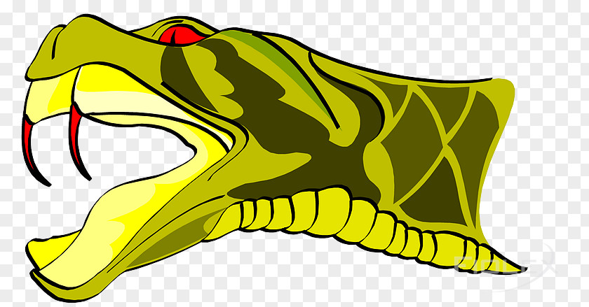 Viper Flag Clip Art Illustration Beak Amphibians Fauna PNG
