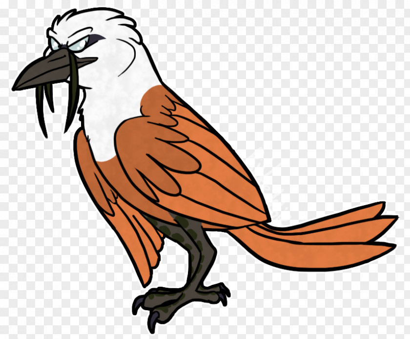 Bird Three-wattled Bellbird Drawing Cartoon PNG