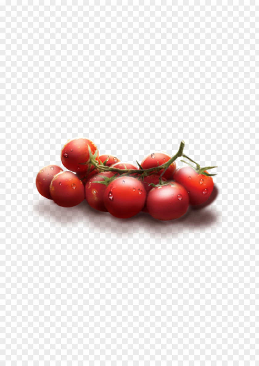 Cherry Tomatoes Plum Tomato Fruit Auglis PNG