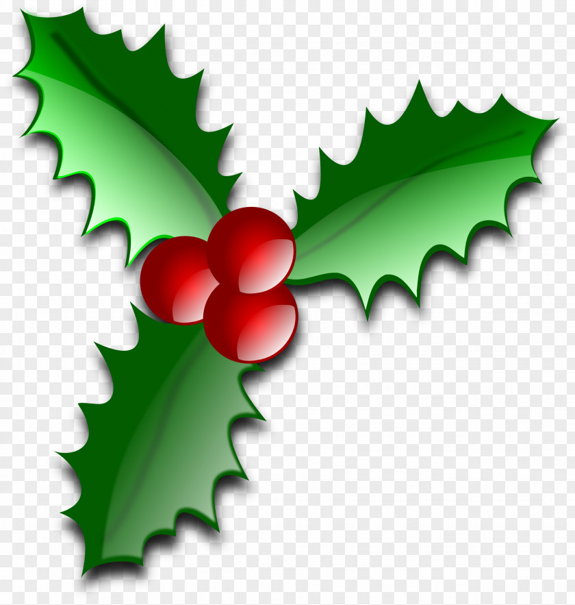 Christmas Clip Art Common Holly American PNG
