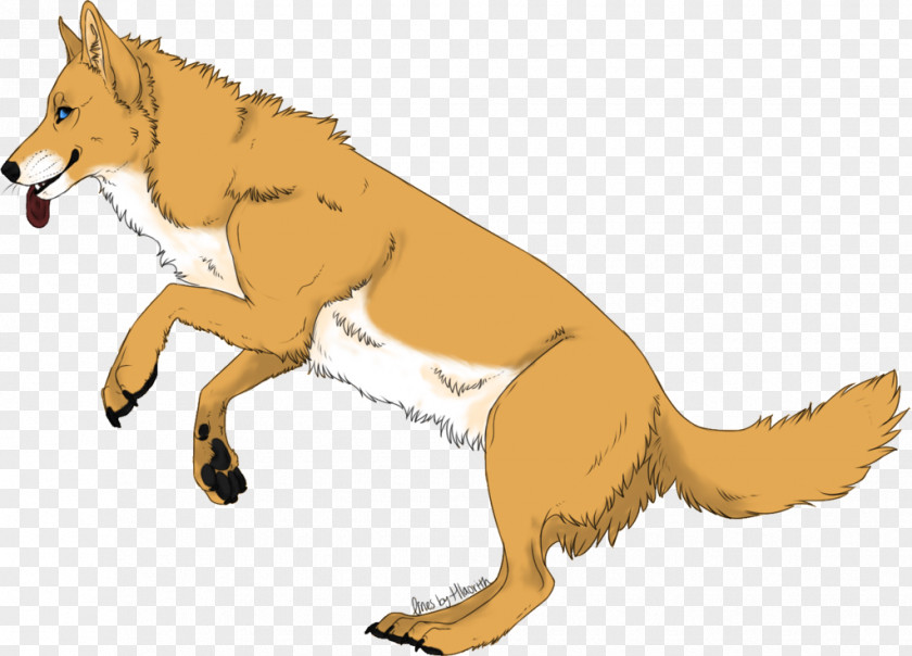 Dog Red Fox Drawing DeviantArt PNG