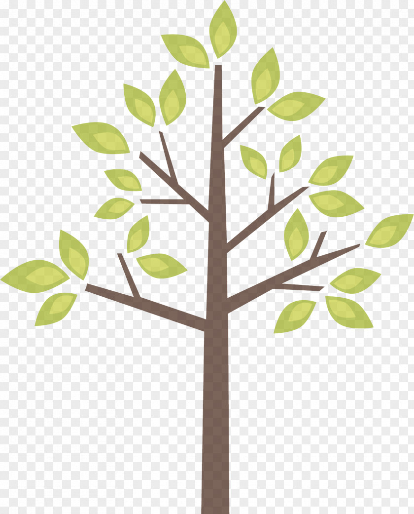 Flower Woody Plant Leaf Tree Branch Stem PNG