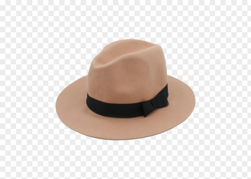 Hat Fedora Panama Stetson Borsalino PNG
