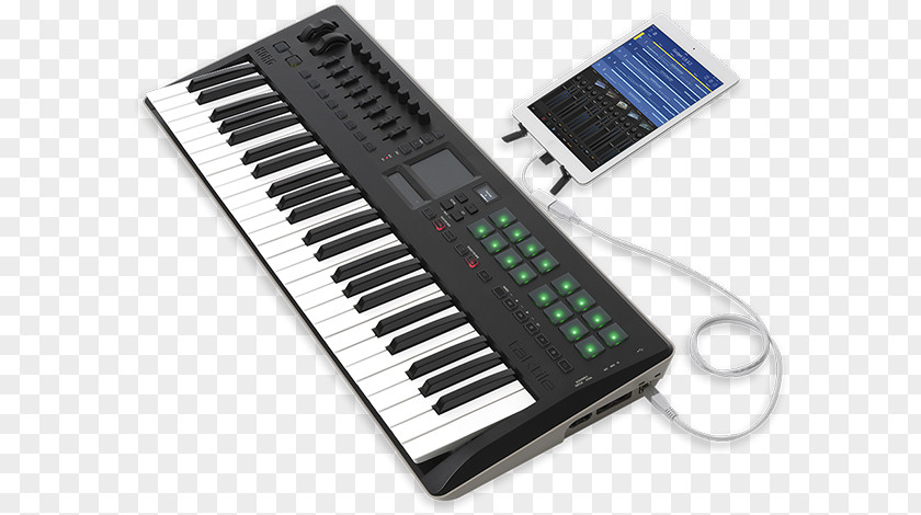 Keyboard KORG Pa300 Musical Instruments MIDI Controllers PNG