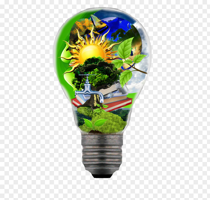 Light Searchlight Flowerpot Incandescent Bulb Plant PNG