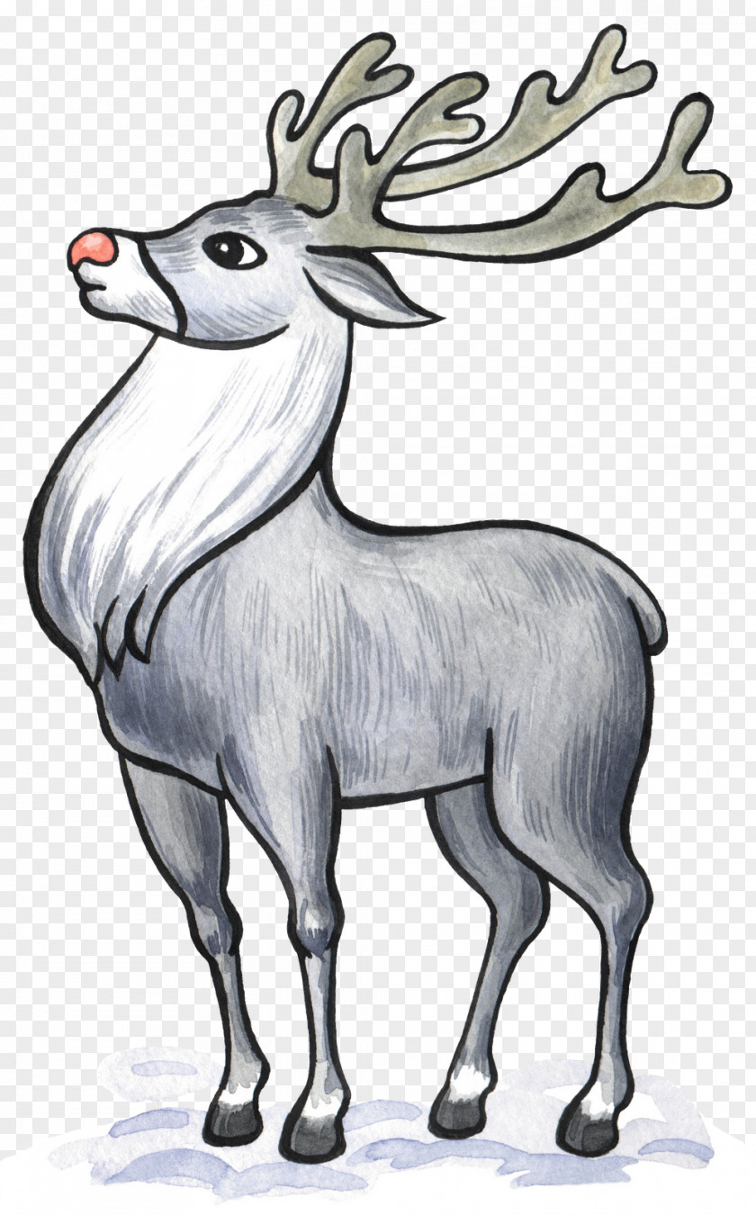 Reindeer Lesson Clip Art Image Presentation PNG