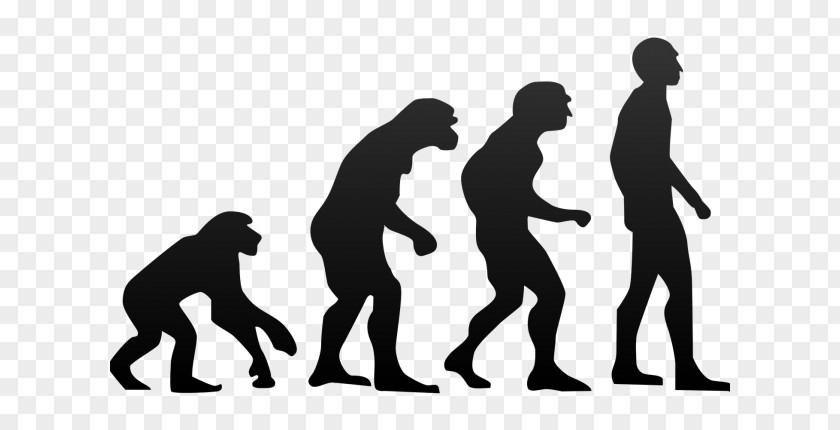 Darwin Neanderthal Homo Sapiens Human Evolution Ape PNG
