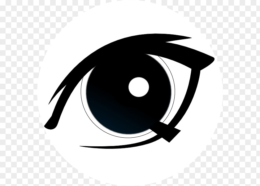 Eye Elahi Care, Inc. Iris Clip Art PNG