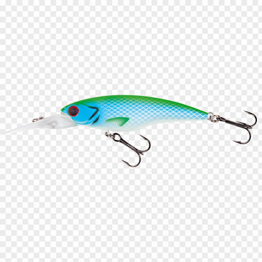 Fishing Plug Spoon Lure Rainbow Trout PNG