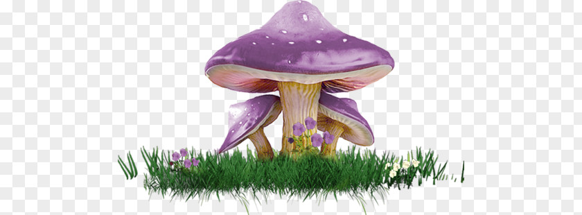 Mushroom Poisoning Clip Art PNG