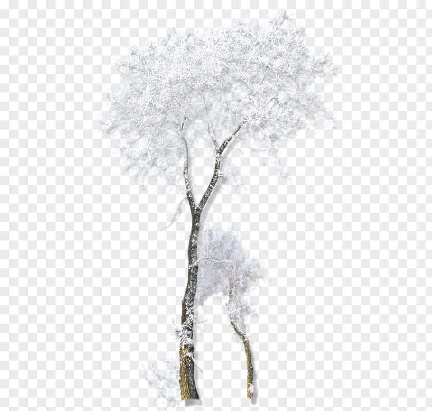 Snow Tree Twig Drawing Winter Belvedere Vodka PNG