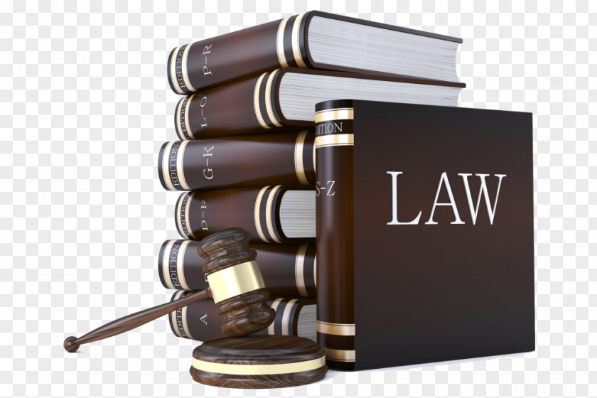 United States Lawyer Paralegal Law Firm PNG