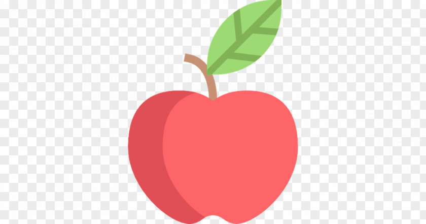 Appple Icon PNG