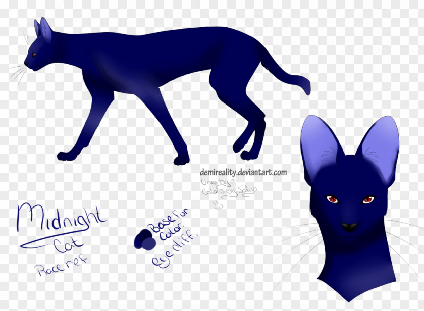 Black Cat Blue Eyes Rare Whiskers Dog Canidae Paw PNG