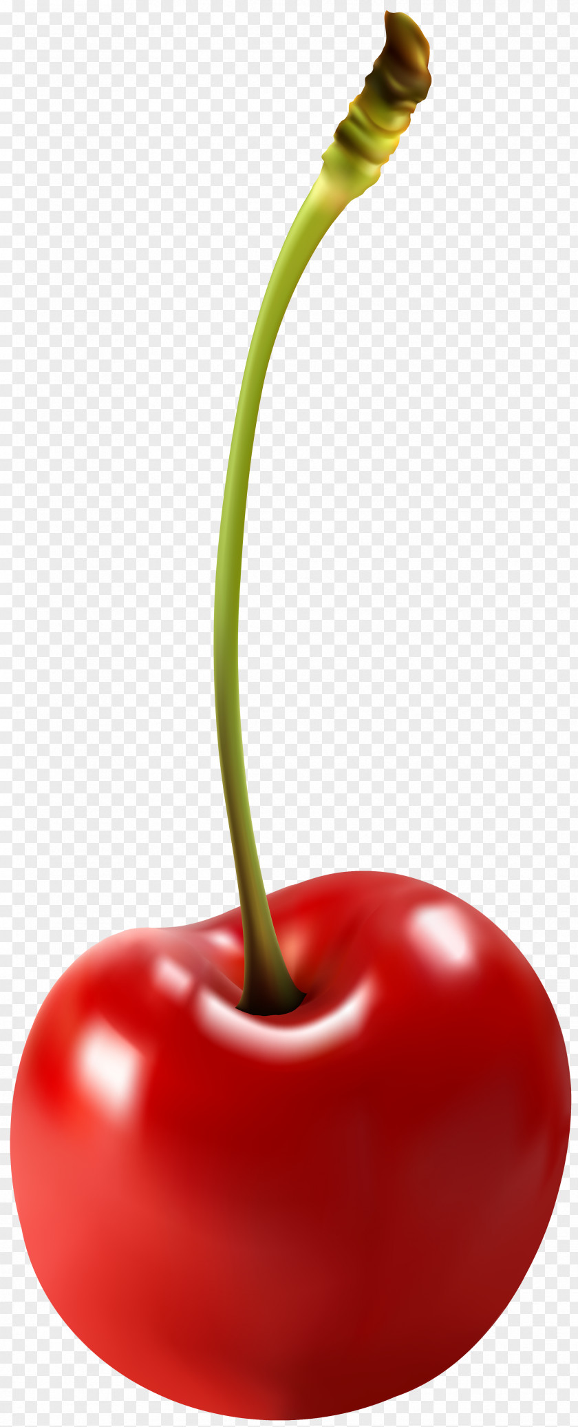 Cherry Sour Clip Art PNG