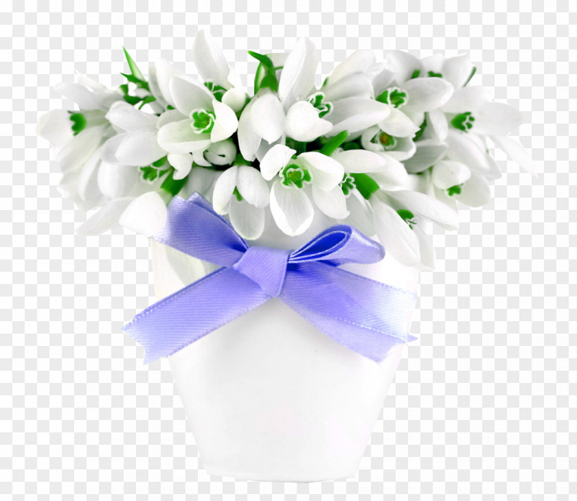 Elegant White Table Flowers Picture Material Snowdrop Flower Desktop Metaphor Mobile Phone Wallpaper PNG