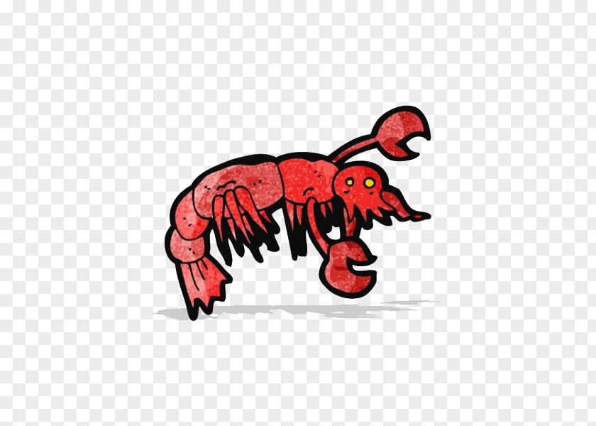 Strange Lobster Tail Palinurus Elephas Illustration PNG