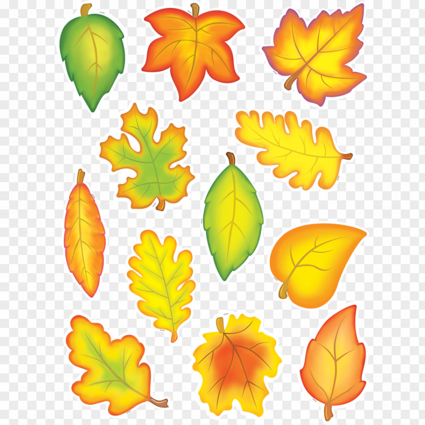 Autumn Leaves Sticker Leaf Color Bulletin Board Tree PNG