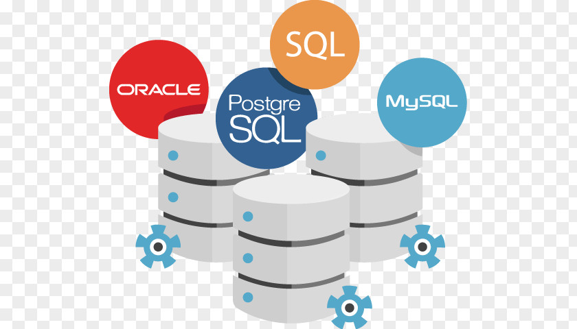 Business Web Development Software Database Developer Oracle SQL PNG