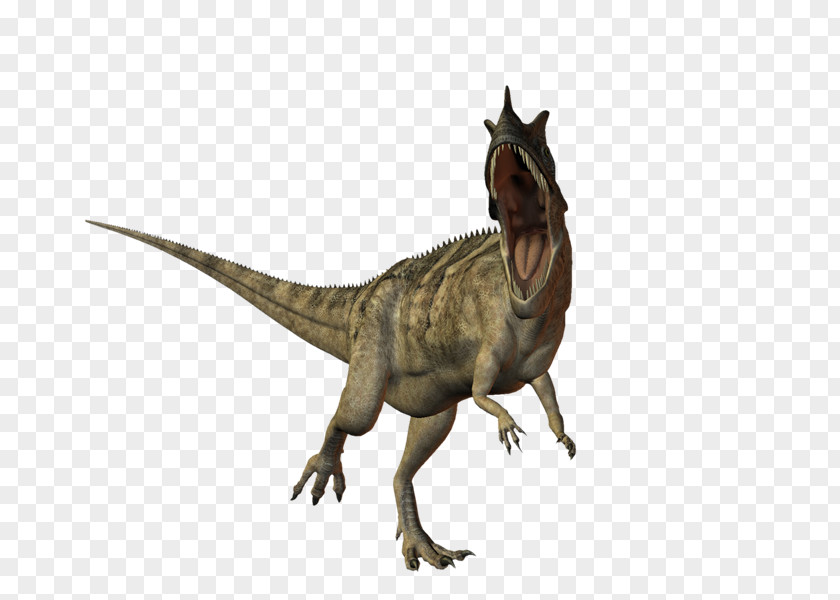 Dinosaurs Tyrannosaurus Constructeur Dinosaur Velociraptor PNG
