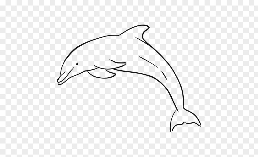 Dolphin Drawing Jumping Common Bottlenose Tucuxi Image PNG