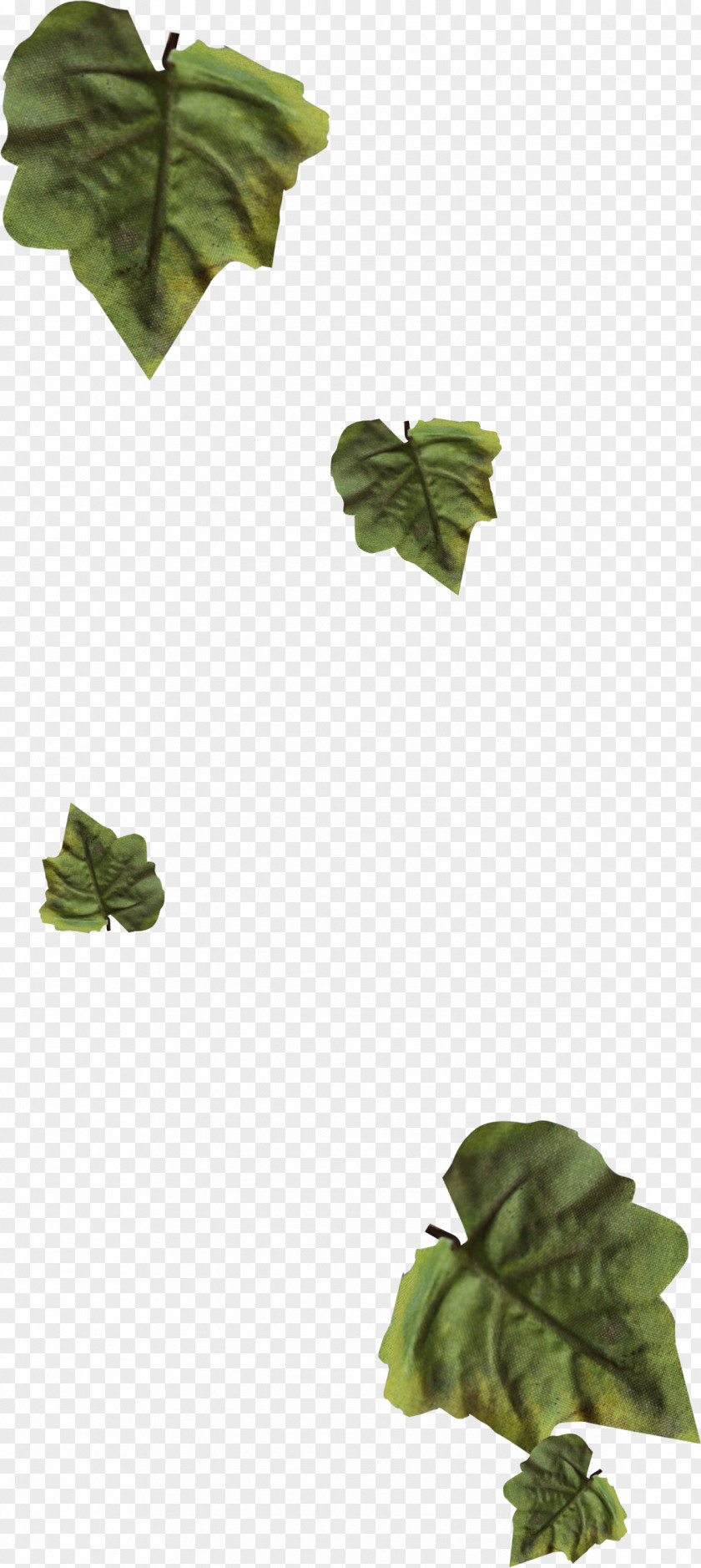 Leaf Garland Wreath Drawing PNG