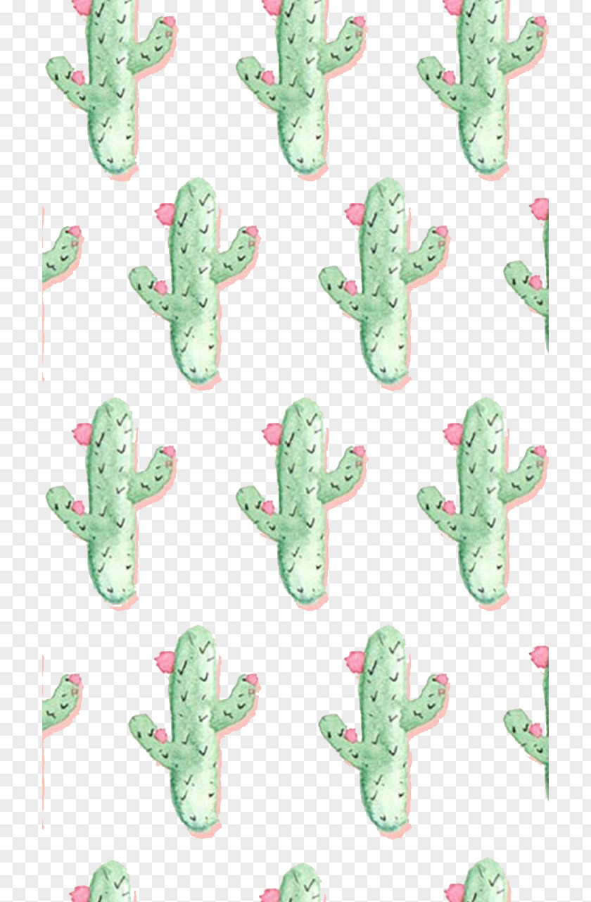 Little Cactus Cactaceae Barbary Fig Succulent Plant Wallpaper PNG