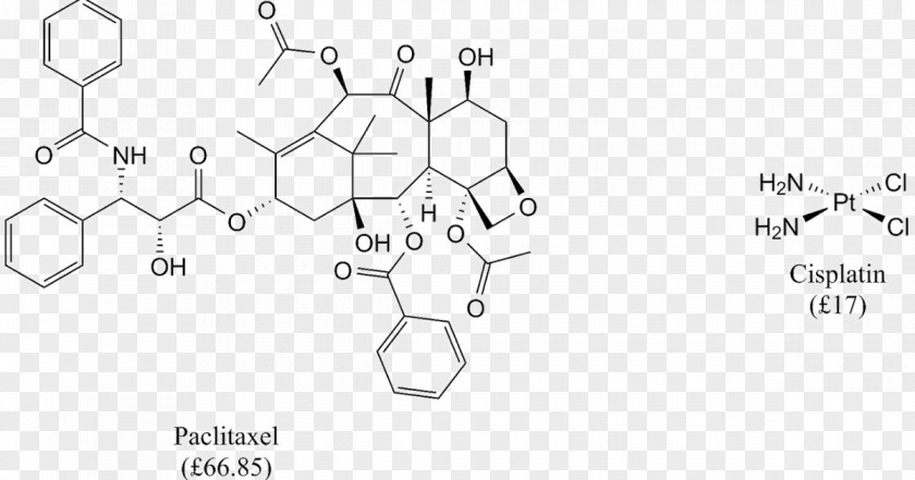 Succinyl Coenzyme A Synthetase Pertuzumab Trastuzumab Vemurafenib Paclitaxel Bevacizumab PNG