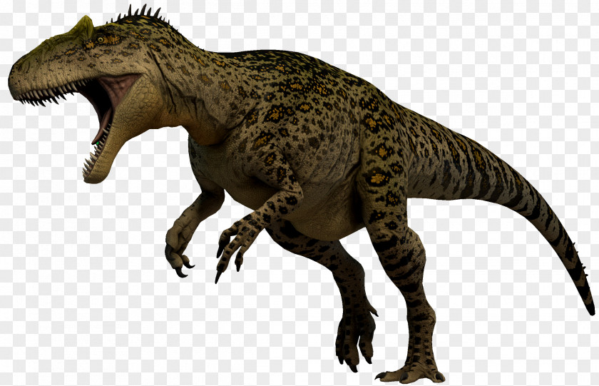 Baryonyx Tyrannosaurus Allosaurus Albertosaurus Reptile Giganotosaurus PNG