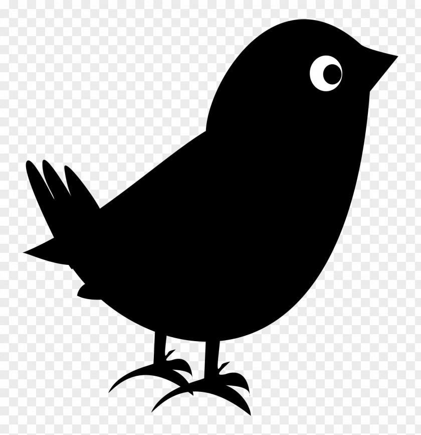 Birds Silhouette Blackbird Ventures Common Clip Art PNG