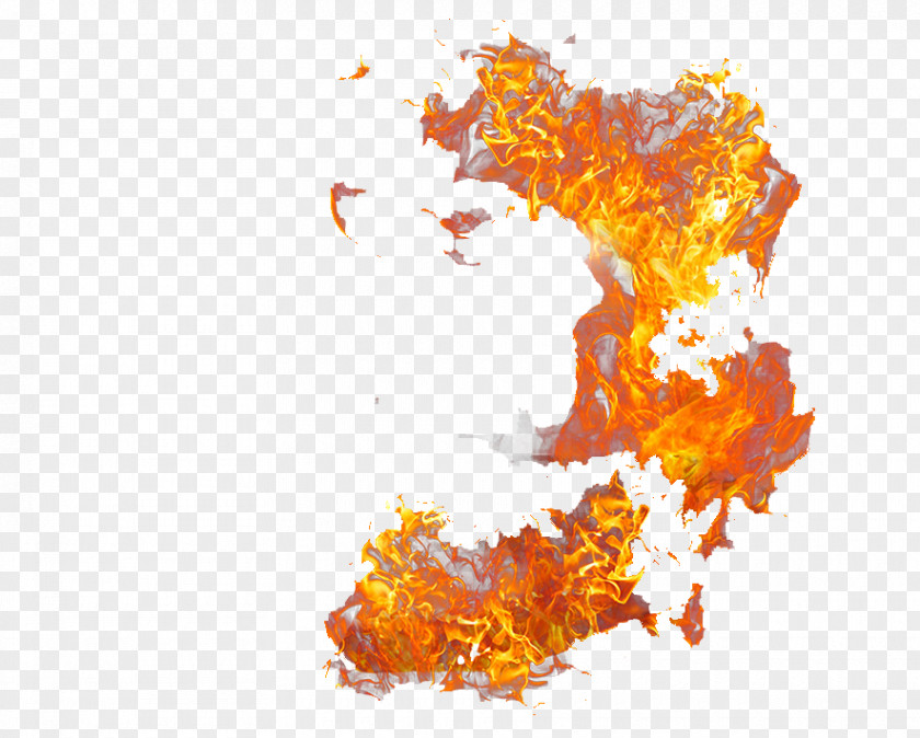 Fire Combustion Flame PNG