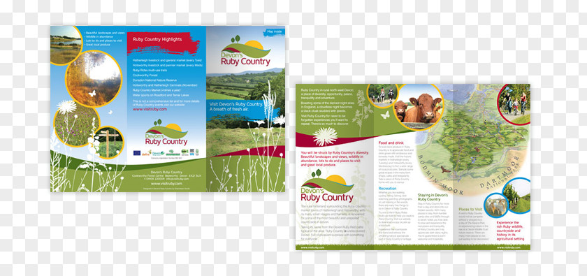 Folding Leaflets Brochure Brand PNG