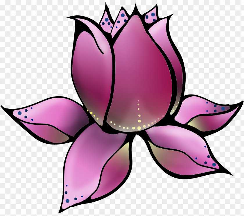 Lotus Nelumbo Nucifera Yoga Flower Clip Art PNG