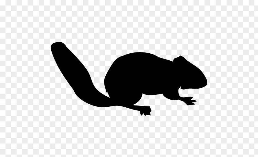 Squirrel Chipmunk Clip Art PNG