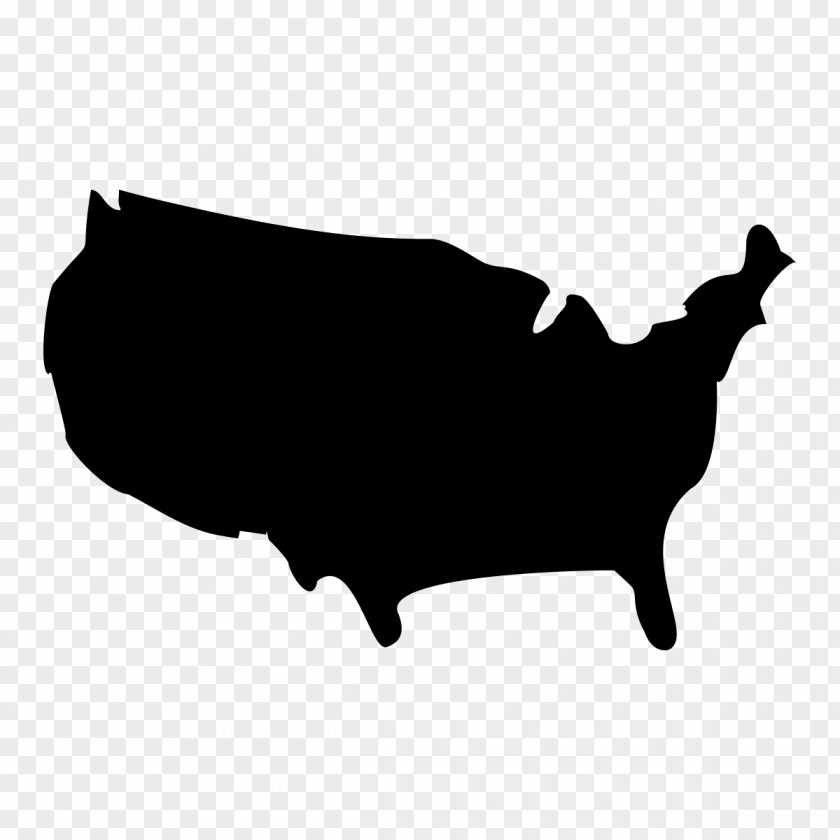 200 United States Vector Map PNG