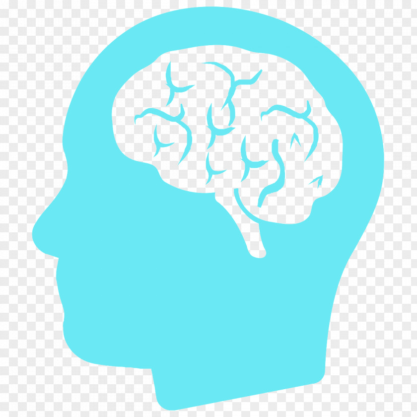 Brain Human Vector Graphics Head Image PNG