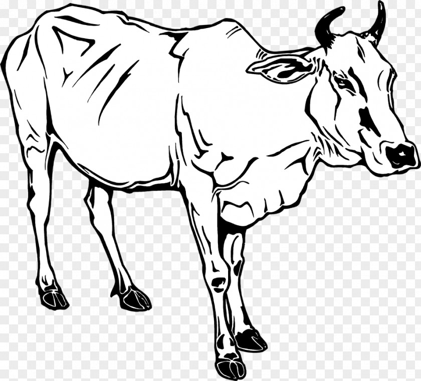 Dairy Cattle Ox Water Buffalo Clip Art PNG