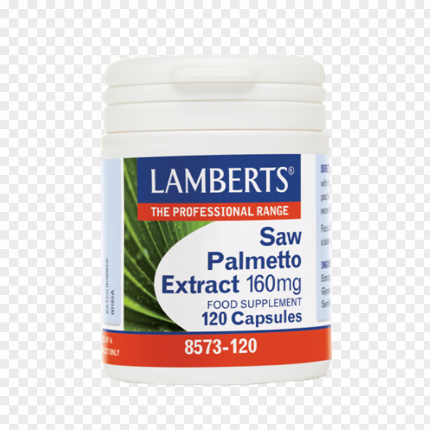 Saw Palmetto Dietary Supplement Extract Psyllium Power PNG