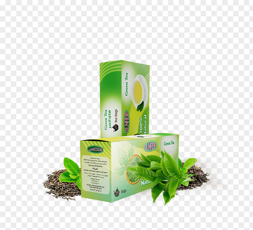 Tea Green Bag Herb PNG