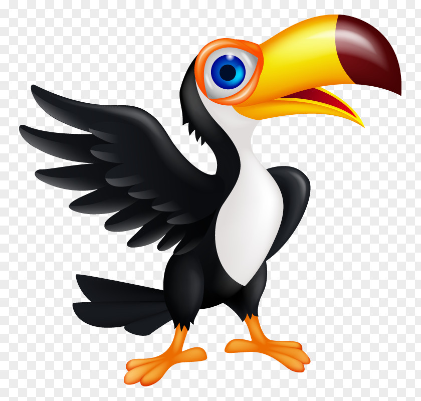 Toucan Bird Sticker Piciformes Decal PNG