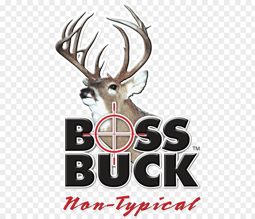 Triple H White-tailed Deer Boss Buck Hunting PNG