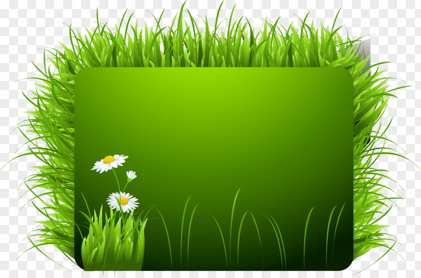 Vector Grass Euclidean GRASS GIS Illustration PNG