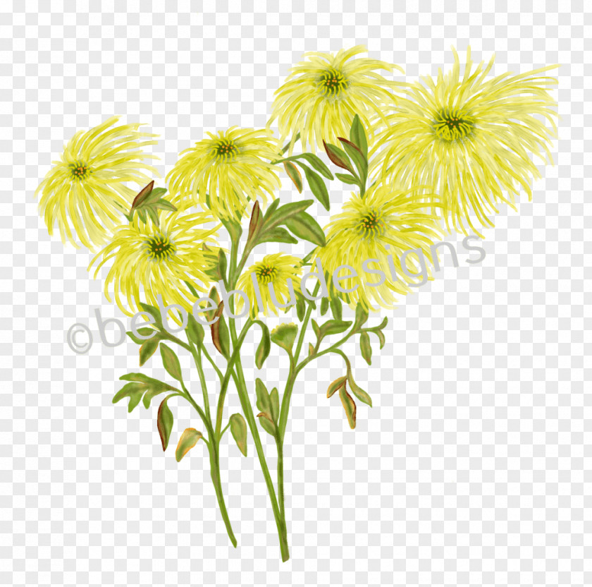 Chrysanthemum Floral Design Spider Information PNG