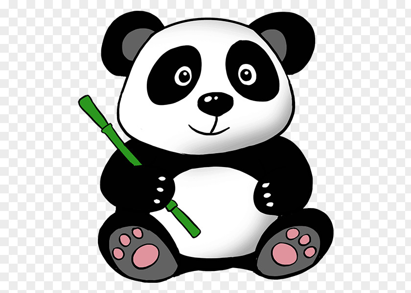Panda Giant Bear Drawing Clip Art PNG